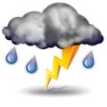 Forecast:  Mostly cloudy and cooler. Precipitation possible within 12 hours, possibly heavy at times. Windy. 